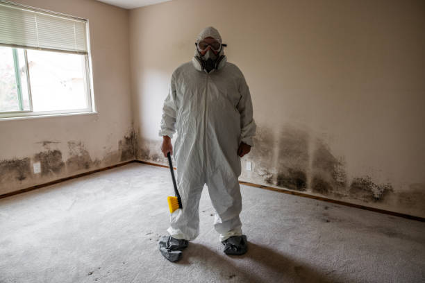 Best Industrial Mold Remediation in Lynn Haven, FL